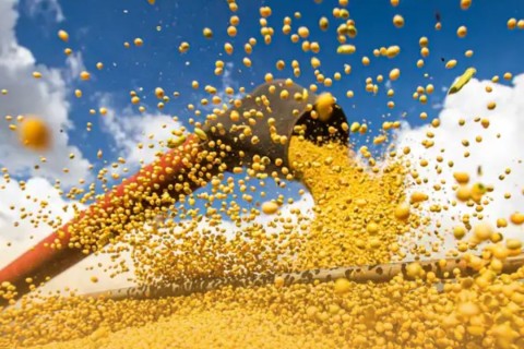 Produção agrícola brasileira superou R$ 927 bilhões em 2025