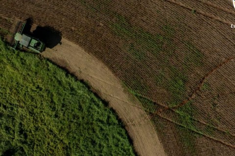 Valor de Produção Agropecuária catarinense cresce 15% e atinge R$ 74,9 bilhões em 2025