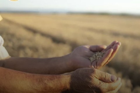 Economia de SC ficou estável em agosto frente ao mês anterior, mostra prévia do PIB