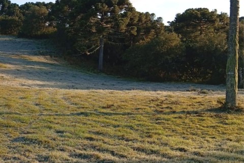 Santa Catarina registra as menores temperaturas do ano com mínimas abaixo de 0°C