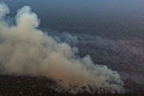 Após dias de fumaça, governo federal amplia combate aos incêndios no Amazonas com cinco aeronaves, reforço militar e R$ 14 milhões para reforçar operações