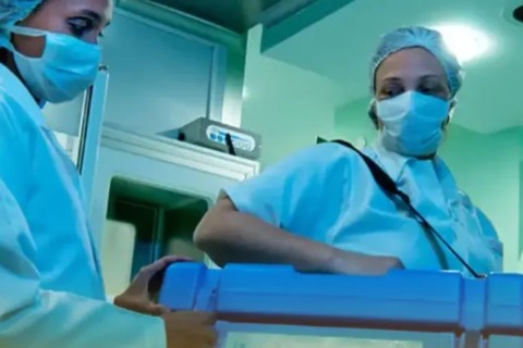 Santa Catarina registra índice recorde de doadores de órgãos e supera própria marca nacional
