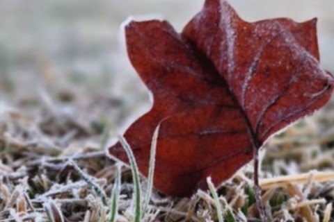 Frio intenso chega a Santa Catarina nesta quinta-feira com mínimas de -5°C