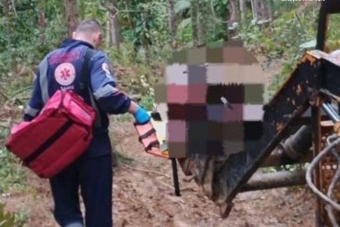 Trabalhador é atingido por árvore durante corte, fica gravemente ferido e bombeiros usam máquina agrícola para resgate em SC