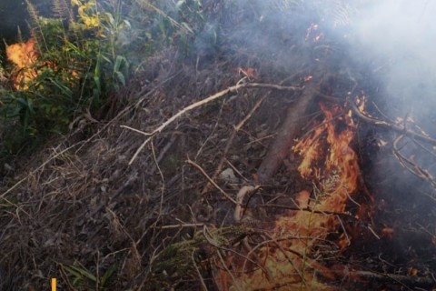 Incêndio em vegetação atinge área de 50 mil m² em Presidente Nereu