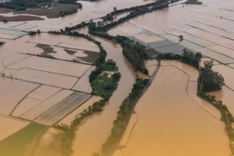 Produtores rurais de cidade com 13 mil habitantes somam prejuízo de quase R$ 37 milhões com as fortes chuvas que atingiram SC